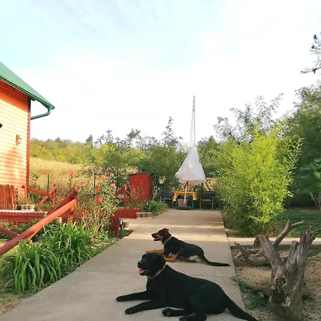 Sunny Side Fruska Gora Holiday home Velika Remeta