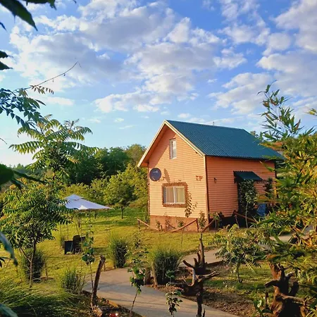 Suncana Strana Fruske Gore - Veliko Imanje Sa Kucom Za Odmor Holiday home *