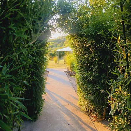 Holiday home Suncana Strana Fruske Gore - Veliko Imanje Sa Kucom Za Odmor *