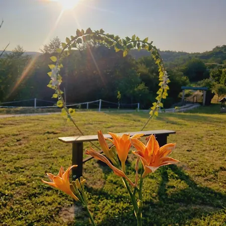 Suncana Strana Fruske Gore - Veliko Imanje Sa Kucom Za Odmor Holiday home