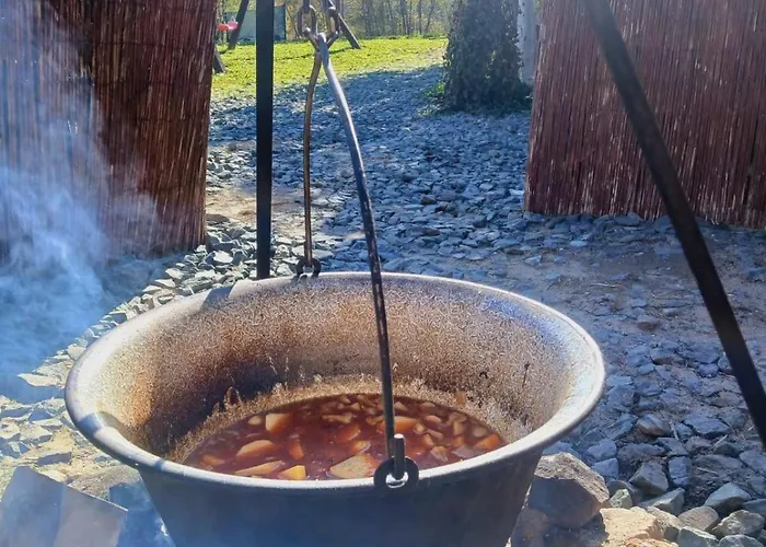 Tatil Evi Suncana Strana Fruske Gore - Veliko Imanje Sa Kucom Za Odmor *