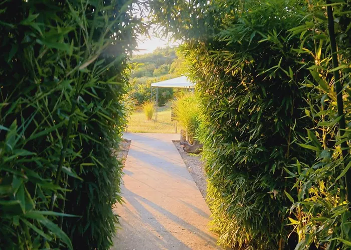 Tatil Evi Suncana Strana Fruske Gore - Veliko Imanje Sa Kucom Za Odmor *