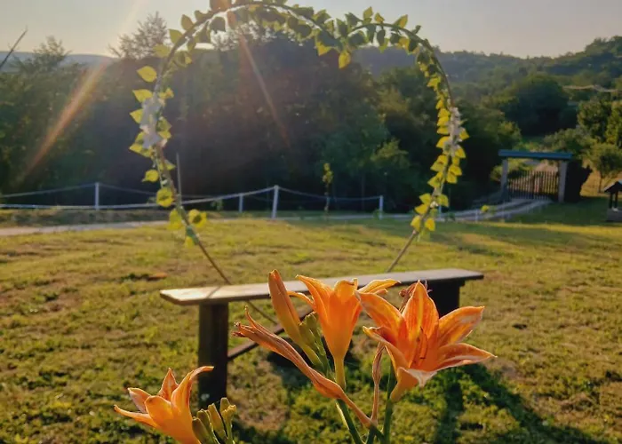 Suncana Strana Fruske Gore - Veliko Imanje Sa Kucom Za Odmor Tatil Evi